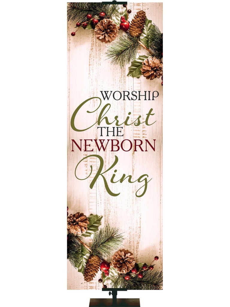 Heartland Christmas The Newborn King