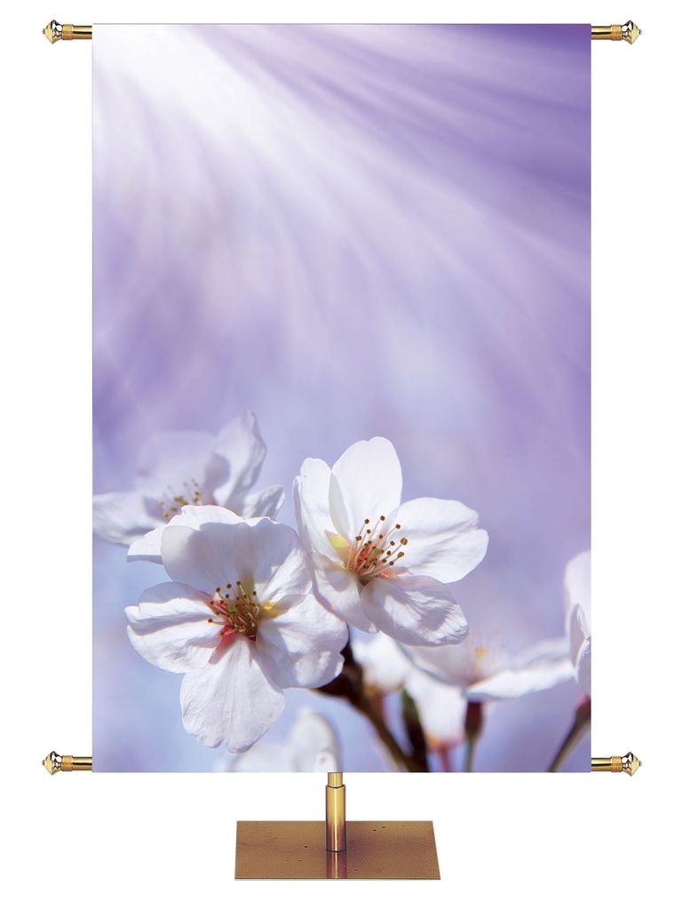 Custom Banner Signs of Spring New Creation