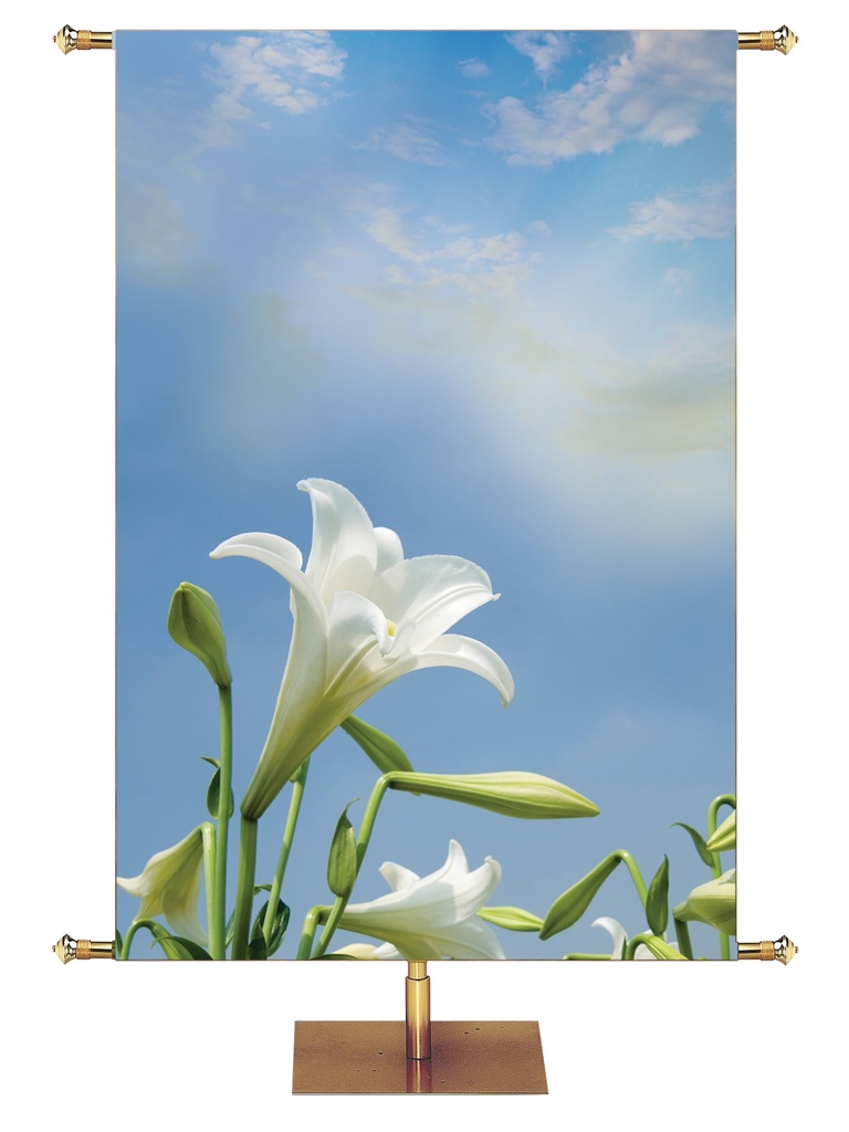 Custom Banner Contemporary Easter I Am the Resurrection