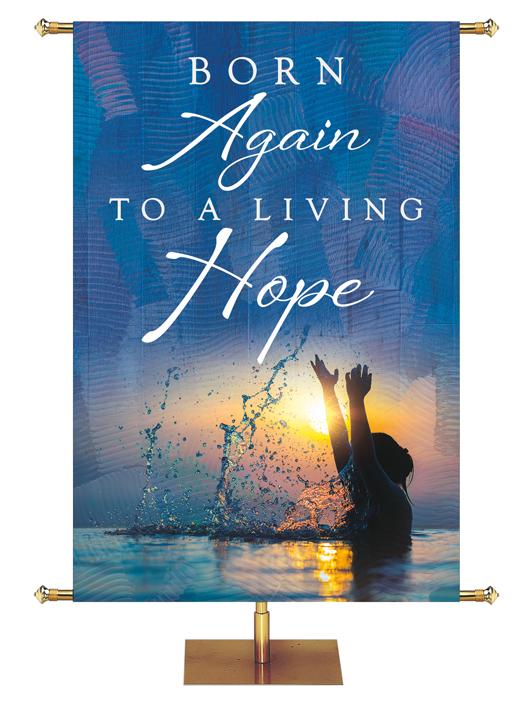 Irregular Living Hope Born Again To A Living Hope