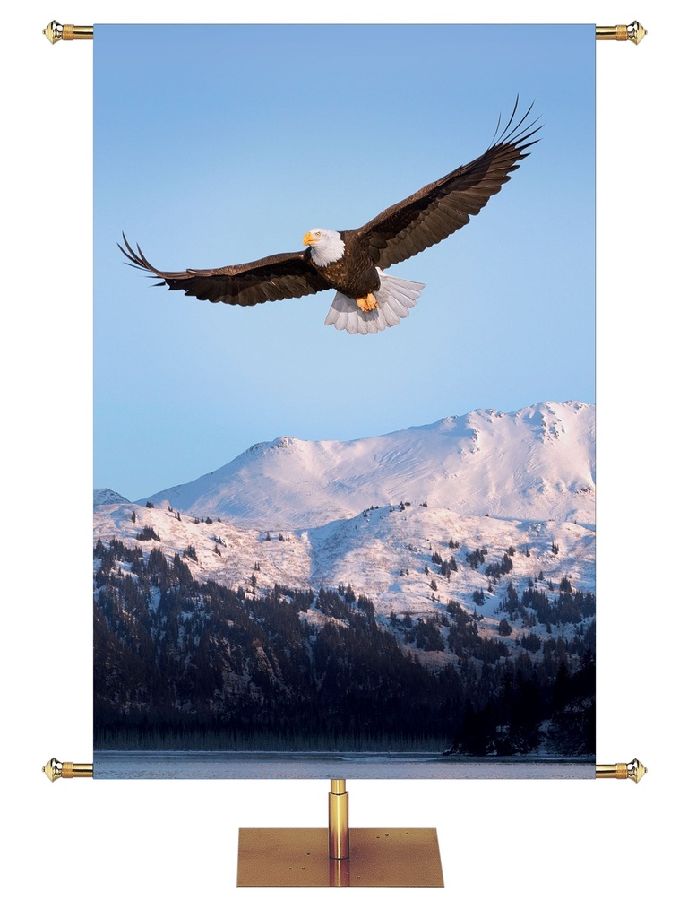 Custom Banner Creation Eagle