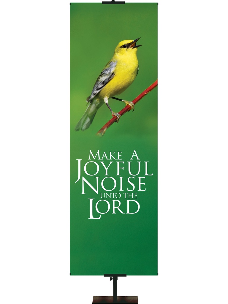 Creation Joyful Noise