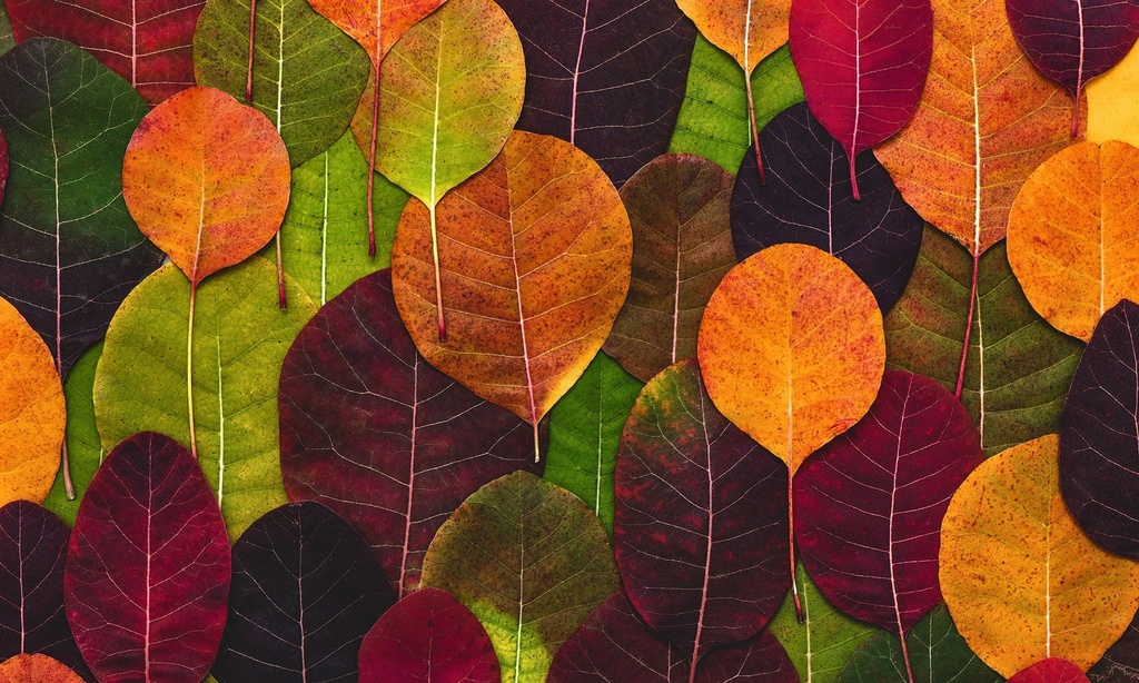 Leaves Galore Vinyl Kitchen Mat